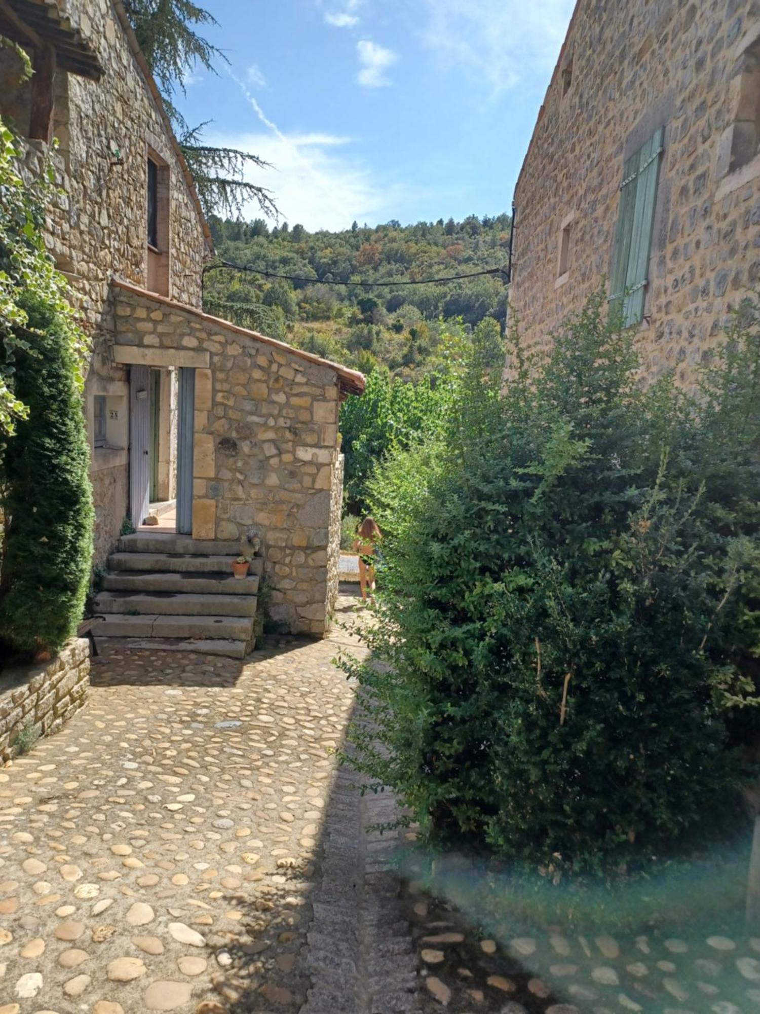 Saint-Maurice-dʼIbie Gites Du Domaine De Serre Long מראה חיצוני תמונה