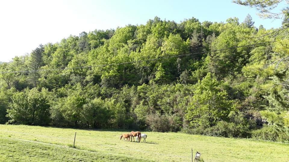 Saint-Maurice-dʼIbie Gites Du Domaine De Serre Long מראה חיצוני תמונה